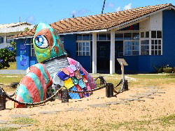 Bahia Tomar Bahia Urlaub in Bahia