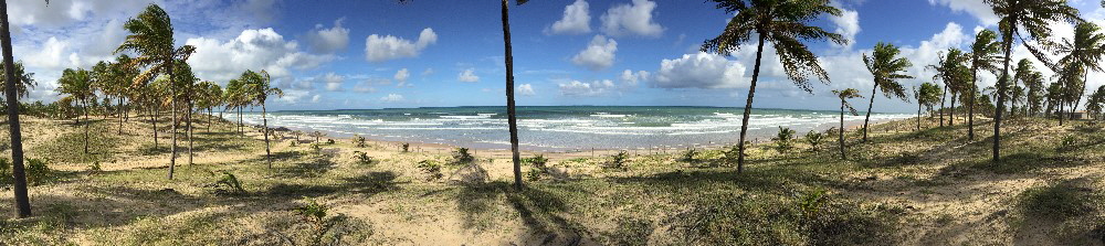 Wellenreiten in Bahia / Wellenreiten in Brasilien